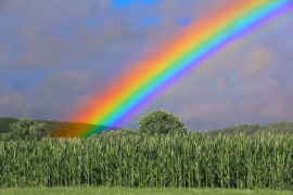 regenbogen 20 liste